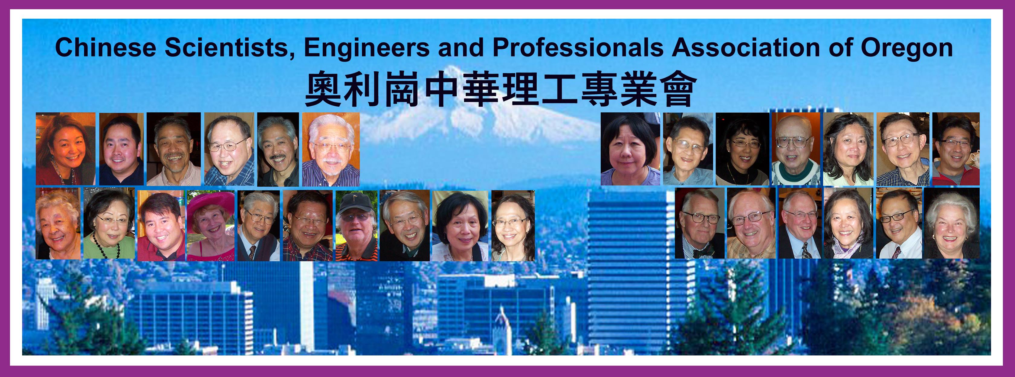 Chinese Scientists Engineers and Professionals Association